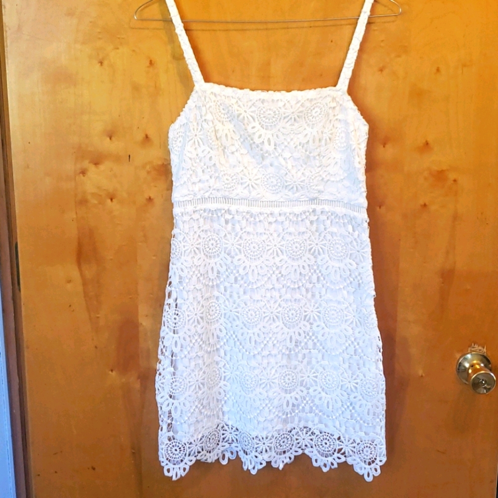 Amazing Lace Dress